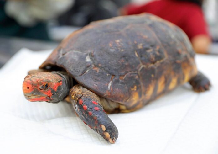 WhatsApp Image 2025-08-05 at 12.50.28 (2)