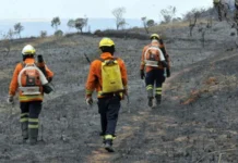 Calor intenso e incêndios florestais marcam o fim de semana no DF