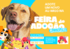 Caninópolis leva diversão e solidariedade para a Feira de Adoção no Parque da Cidade