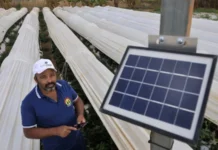 Cerrado perde o equivalente a 30 piscinas olímpicas por minuto