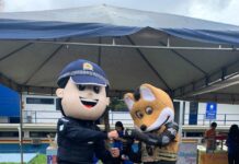 Programa Prevenindo com Arte completa 10 anos de existência