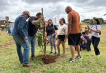 Distrito Federal planta 15 mil mudas nativas do Cerrado em ação integrada neste domingo