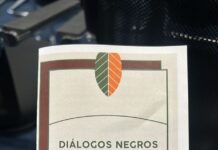 Protocolo com orientações para fortalecer combate ao racismo no DF é lançado
