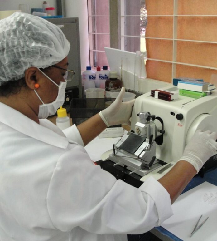 28.1. Foto Divulgação FAPDF