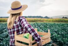 Projeto Mulheres no Campo abre 100 vagas de qualificação profissional em Brazlândia