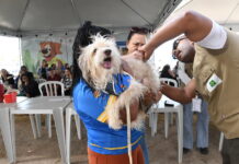 GDF Mais Perto do Cidadão chega ao Recanto das Emas nesta sexta (30) e sábado (31) com serviços gratuitos