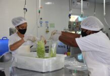 Registro sanitário garante segurança dos alimentos, amplia mercados e é foco de mutirão da Dipova com agroindústrias do DF