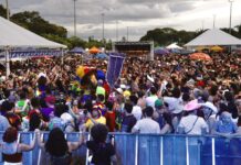 Territórios Folia 2026: embarque na programação popular