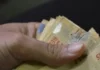 Cerca de 460 mil trabalhadores do DF terão direito ao abono PIS/PASEP; veja como acessar