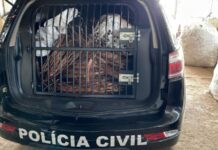 Canal é lançado para denúncias de furto e roubo de cabos de energia