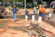 DF recolhe mais de 4,2 milhões de toneladas de descarte irregular em sete anos