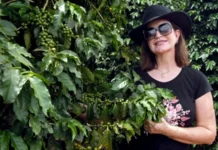 Diagnóstico aponta caminhos para a consolidação da cafeicultura no DF