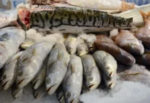 Comércio do DF aposta em alta na venda de pescados na Semana Santa
