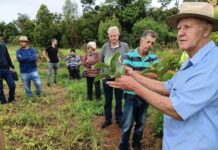 Oficina de poda em frutíferas destaca técnica que garante maior produtividade