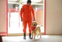 Comitiva nacional de segurança pública visita instalações do Centro de Treinamento de Cães no DF