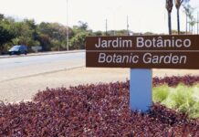 Jardim Botânico: Escola, creche, UBS e viaduto que transformam a vida dos moradores