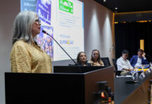 Educação apresenta resultados da gestão para o Codese-DF