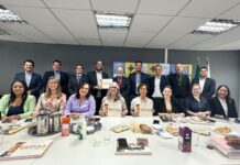 Conselho define plano de ação para fortalecer a governança no Distrito Federal