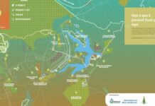 Eu Amo Cerrado: plataforma interativa conecta população à biodiversidade do DF