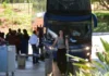 Viagens interestaduais de ônibus crescem 150% no Dia das Mães; veja destinos