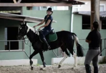 Relação entre pessoas e cavalos vai além de passeios e competições