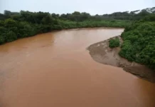 GDF investirá R$ 8 milhões na recuperação do Rio Melchior