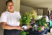 Feira Raízes do Entorno atrai visitantes e fortalece economia criativa da região