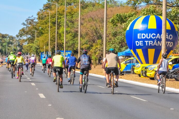 Passeio 31 (1)