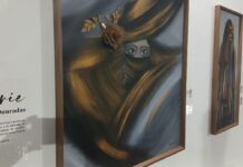 Exposição ‘A Mulher em sua Essência’ segue no Espaço Lúcio Costa até 10 de maio