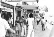 W3: as curiosidades da avenida de Brasília que nunca parou
