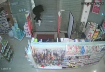 Quadrilha invadia farmácias e furtava canetas emagrecedoras para mercado ilegal