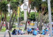 Ex-alunos do Renova DF agora podem fazer novos cursos dentro do programa