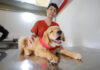 Projeto treina cães-guia para promover autonomia a deficientes visuais