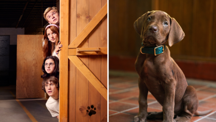 scooby-live-action