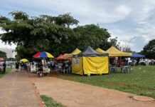 Jogo entre Cruzeiro (MG) e Grêmio (RS) tem 60 vagas para o trabalho de ambulantes