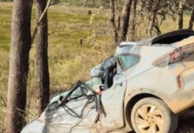Idosa morre após colidir em árvore na BR-020, próximo de Formosa (GO)