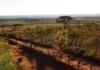 Reserva Ecológica do IBGE passa a integrar sistema nacional de conservação