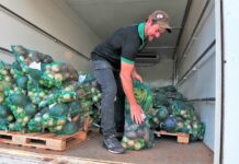 Veja as regras para receber a Cesta Verde no DF