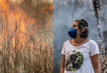 Pesquisadora premiada explica por que Cerrado lidera queimadas