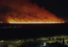 Incêndio de grandes proporções atinge vegetação no Parque do Tororó