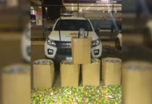 Carga de 720 mil cigarros avaliados em R$ 1 milhão é apreendida