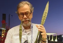 Poema para a filha está entre os últimos versos de Luis Turiba