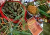 Projeto “Sabores e Saberes” celebra a culinária afro-brasileira no DF e no Entorno