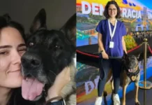 Após ataque à veterinária, documentos detalham contratos do canil do Senado