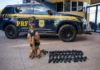 Fiscalização da PRF encontra 20 pistolas e 40 carregadores em bagagem de ônibus