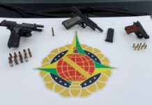 Idoso é preso após PM encontrar três armas e munições sem registro no Gama