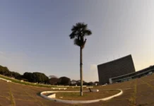 Cristiano Lopes deixa Secretaria de Proteção Animal; veja quem assume