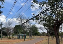 Fios e cabos irregulares comprometem paisagem do Parque da Cidade