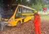 Vídeo: ônibus escolar com 27 crianças bate em árvore e duas ficam feridas
