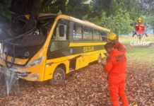 Vídeo: ônibus escolar com 27 crianças bate em árvore e duas ficam feridas
